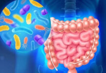 El microbioma de boca e intestino podría ayudar a detectar cánceres gastrointestinales