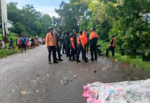Fallece mujer tras ser arrollada en la Troncal 10 de Monagas