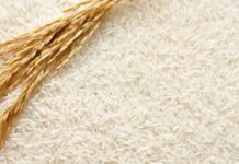 Plantean elevar hasta US$0,64 el precio por kilogramo de arroz a nivel de productores