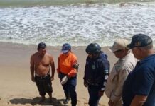 Hallan muerta tortuga marina en costas de Puerto Píritu