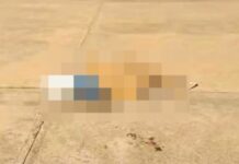 Hallan sin vida a una persona en las instalaciones del parque Las Ballenas