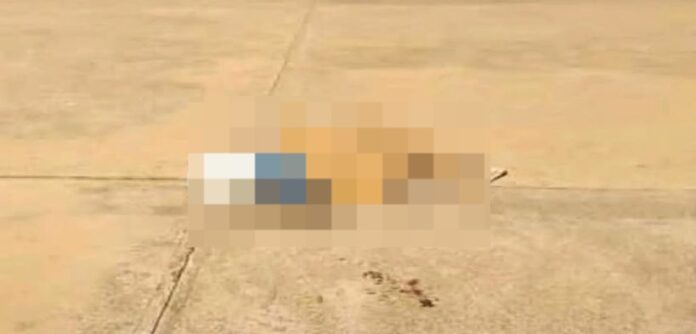 Hallan sin vida a una persona en las instalaciones del parque Las Ballenas en Maracay