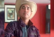 Hombre de 47 años muere tras ser atacado por un enjambre de abejas en Guárico