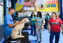 Abren campamento de Misión Nevado para 400 animales rescatados tras sismos