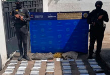 Incautados 75 kilos de cocaína tras dispositivo de seguridad en el estado Sucre