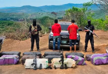 Incautan 600 panelas de marihuana y fusiles en frontera entre Falcón y Zulia