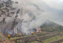Incendio forestal en Machu Picchu afecta 1,5 hectáreas de bosque primario desde el lunes