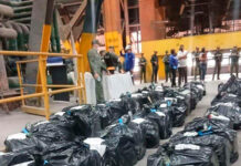 Incineran más de tres toneladas de drogas en el estado Bolívar