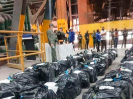 Incineran más de tres toneladas de drogas en el estado Bolívar