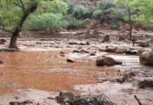 Inundaciones repentinas en Gran Cañón dejan unos 15 desaparecidos y 62 evacuados