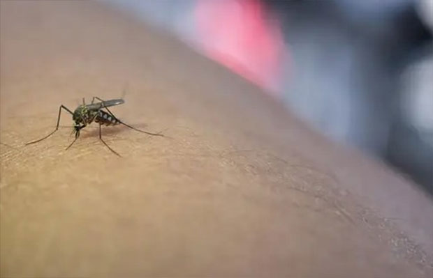 Italia-ha-registrado-312-casos-de-virus