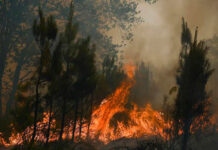 Los seguros estiman el coste de los incendios del sur de Francia en 500 millones de euros