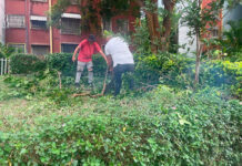 Más de 250 familias beneficiadas con jornada de mantenimiento en la Urbanización Las Luisas II
