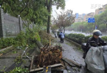 Más de 65.000 evacuados en provincia central de China por lluvias del tifón Dolphin