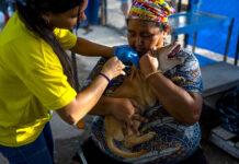 Mascotas víctimas de los sismos en Venezuela esperan por un hogar
