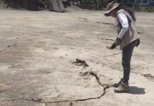 Misión Hábitat y Universidad Católica de Chile evaluaron suelos en La Guaira