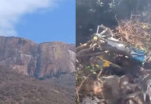 Mueren seis turistas y un piloto al estrellarse un helicóptero en el norte de Kenia
