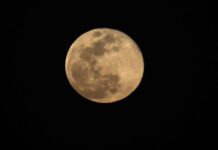 NASA alerta del riesgo de que los microbios humanos contaminen la Luna