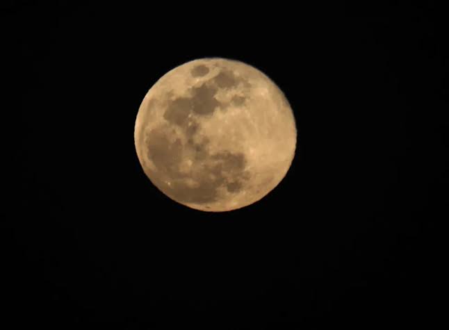 NASA alerta del riesgo de que los microbios humanos contaminen la Luna
