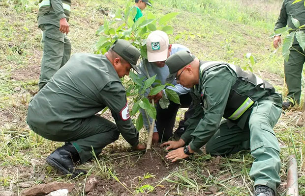 Plantan-más-de-dos-mil-nuevos-árboles