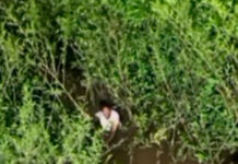 Policías y pescadores rescatan a un hombre que cayó al río Orinoco