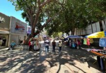 Porlamar alcanzó el 50% de la reactivación comercial