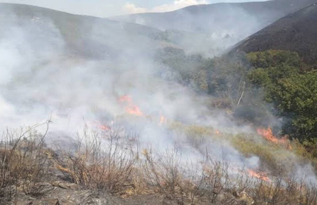Portugal combate cuatro incendios en el norte del país mientras aumentan las temperaturas