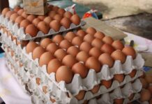 Precio de los huevos se desploman un 50% debido a un exceso de oferta