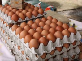 Precio de los huevos se desploman un 50% debido a un exceso de oferta