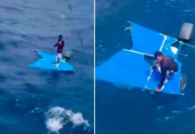 Rescatan a un pescador tras pasar cinco días a la deriva a 60 millas de Higuerote