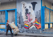 Restauran mural de Tsunami, el perro rescatista de los terremotos, tras ser vandalizado en la UCV