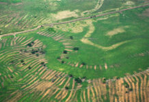 Revelan que los agricultores prehispánicos hicieron un gran sistema hidráulico en Colombia