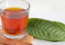 Té de hojas de guayaba alivia malestares estomacales y fortalece sistema inmune