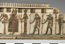 Un estudio revela qué animales y plantas se usaban para pintar en el antiguo Egipto