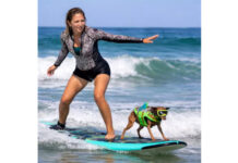 Una mujer y su perro superaron el cáncer y ahora surfean juntos en competencias