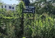 Vecinos de Guasimal claman por suministro regular de agua potable