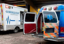 Ataque de enjambre de abejas deja 35 heridos durante juego de fútbol en San Cristóbal