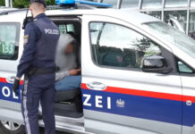 Aumentan un 10 % hasta junio los delitos vinculados a la extrema derecha en Austria