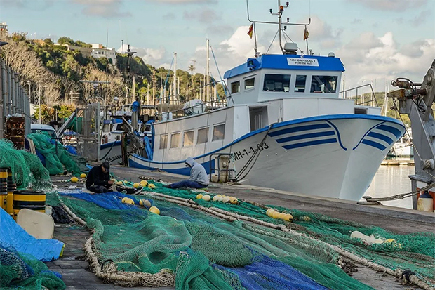 Cinco regiones españolas hacen frente común en defensa de la pesca en el Mediterráneo
