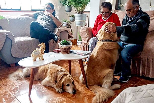 El 64 % de los peruanos tiene mascota en casa, especialmente en los Andes por seguridad