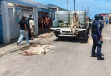 Hombre con discapacidad visual muere arrollado por un camión en Punto Fijo