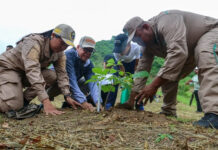 Más de 300 plantas fueron sembradas en el Parque Itagua