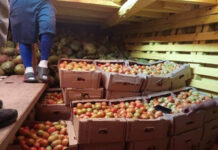 Más de 7 mil toneladas de productos se han exportado a las islas ABC durante este año