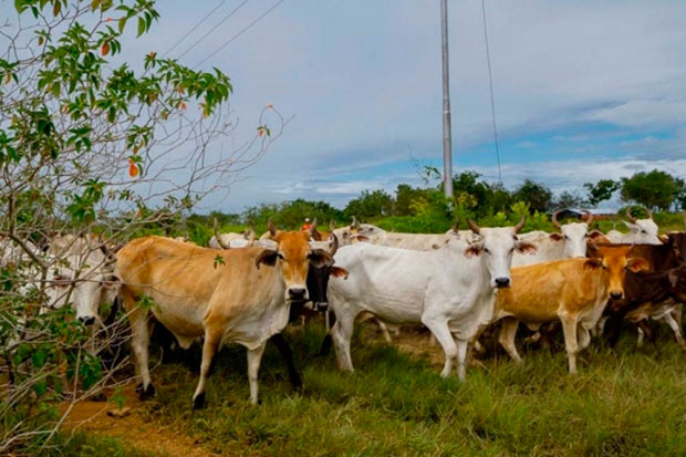 Ministerio-de-Agricultura-reporta-3,07-millones