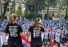 Senado paraguayo crea comisión especial para abordar crisis en el sistema de salud
